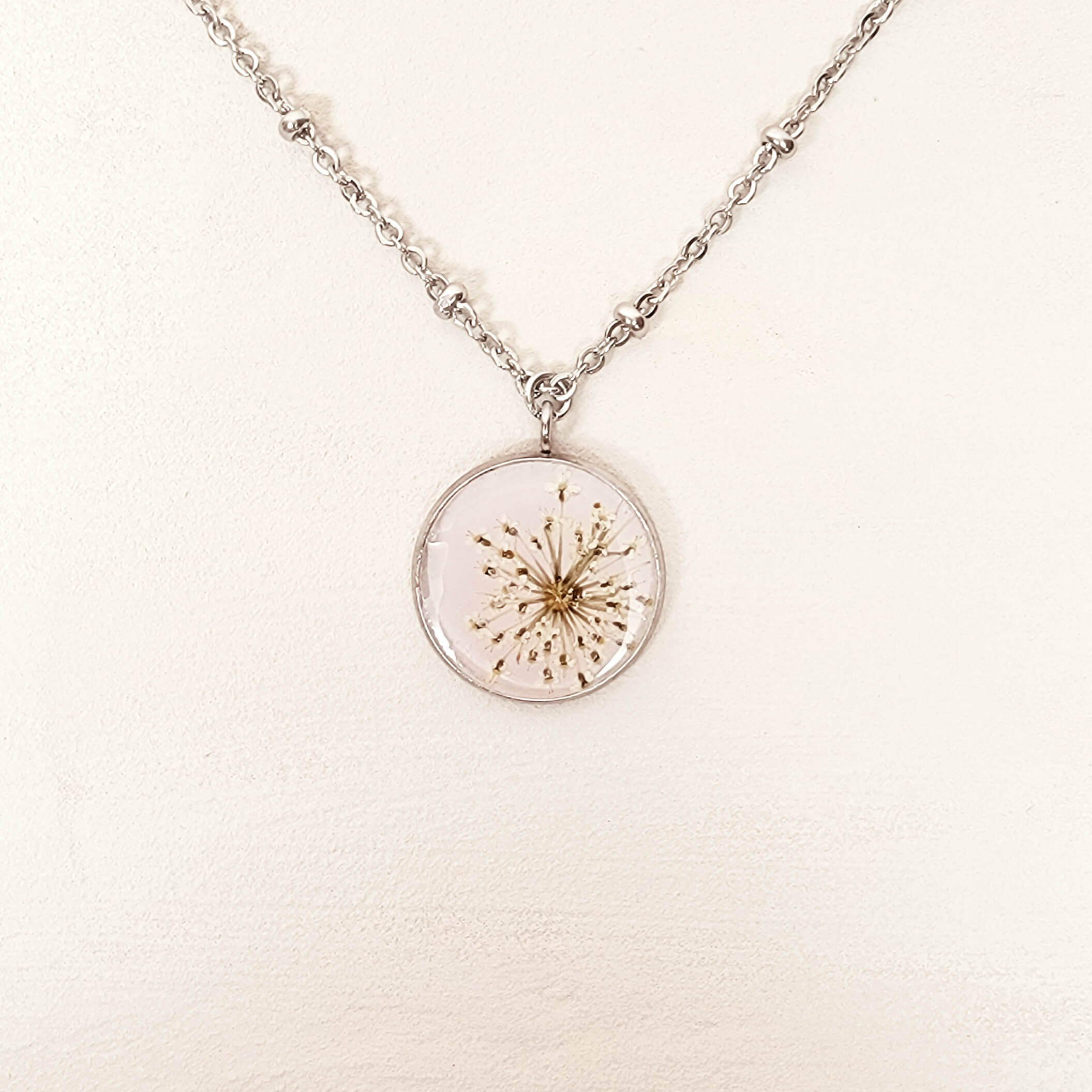 Queen Anne Lace Collection