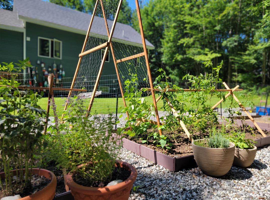 Golden Hour Garden