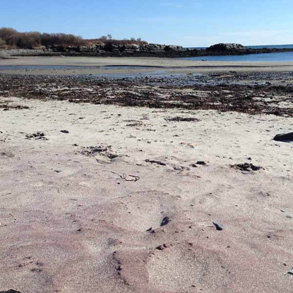 Kettle Cove Maine
