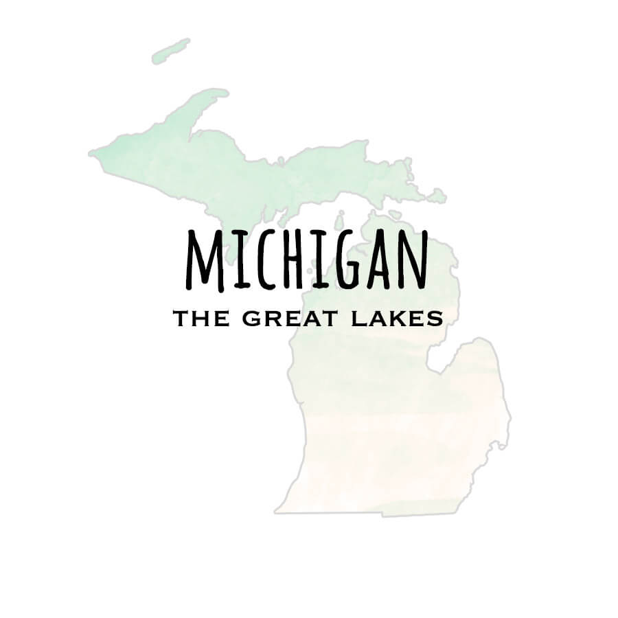 Michigan Jewelry