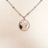 Daisy Collection