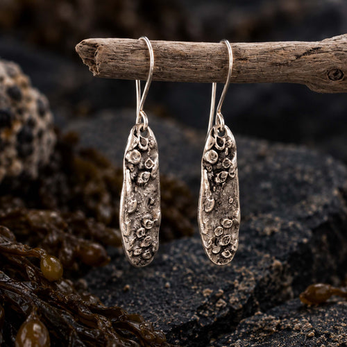 barnacle-shell-earrings-silver
