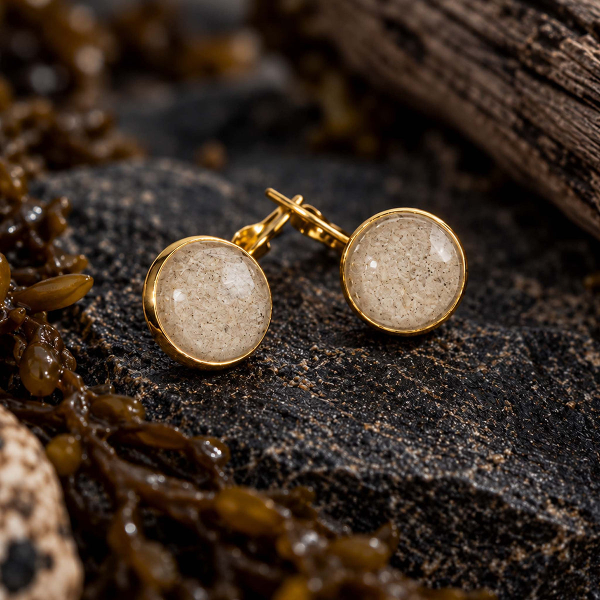 Leverback Beach Earrings | Gold