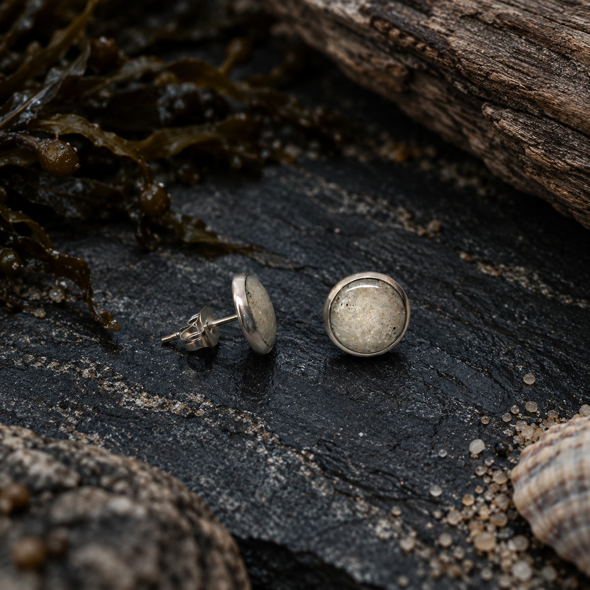 Stud Beach Earrings